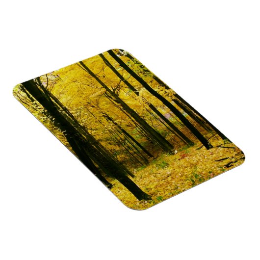 Magnet Flexible Forêt jaune d'automne (Côté Droit)
