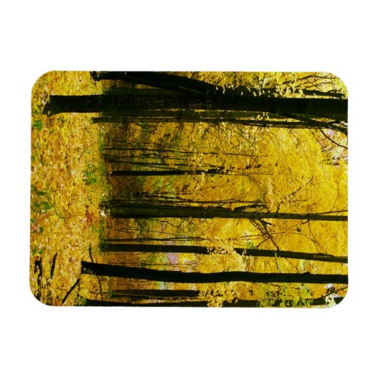 Magnet Flexible Forêt jaune d'automne (Horizontal)