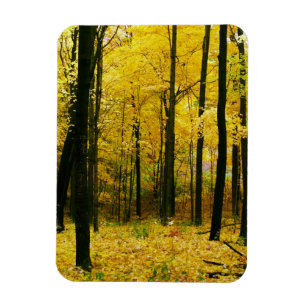 Magnet Flexible Forêt jaune d'automne