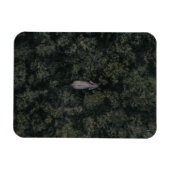 Magnet Flexible Forêt | Lalibela Game Reserve (Horizontal)