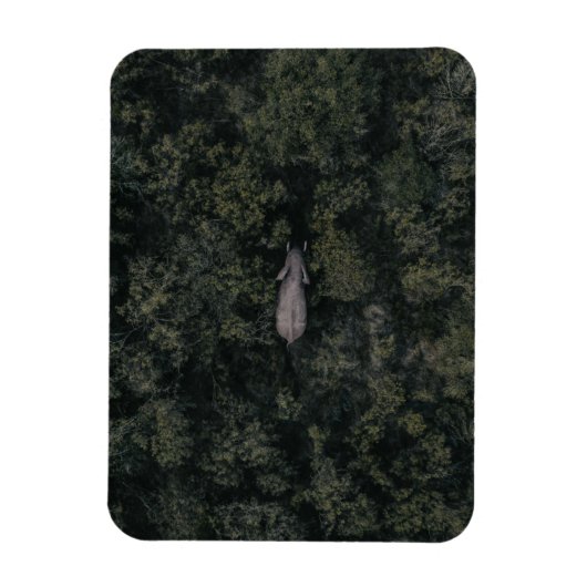 Magnet Flexible Forêt | Lalibela Game Reserve (Vertical)