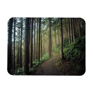 Magnet Flexible Forêt Montagnes de Wakayama Japon