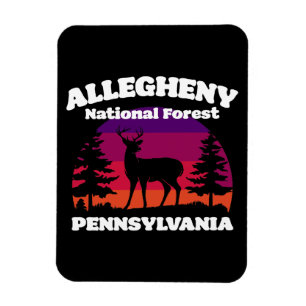Magnet Flexible Forêt nationale d'Allegheny
