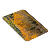 Magnet Flexible Forêt nationale de Gunnison (Côté Droit)