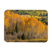 Magnet Flexible Forêt nationale de Gunnison (Horizontal)