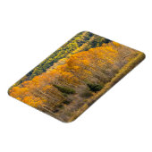 Magnet Flexible Forêt nationale de Gunnison (Côté Gauche)