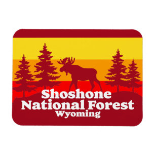 Magnet Flexible Forêt nationale de Shoshone Wyoming