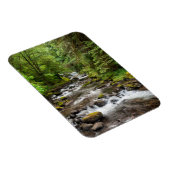 Magnet Flexible Forêt nationale de Siuslaw | Sweet Creek (Côté Droit)
