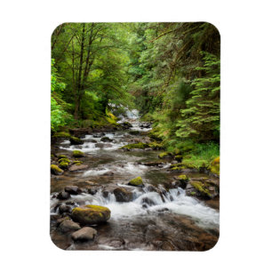 Magnet Flexible Forêt nationale de Siuslaw Sweet Creek