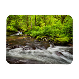 Magnet Flexible Forêt nationale de Siuslaw, Sweet Creek, Oregon