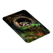 Magnet Flexible Forêt | Raccoon Peeking (Côté Droit)