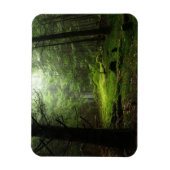Magnet Flexible Forêt stérile (Vertical)