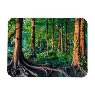 Magnet Flexible Forêt   Végétation et forêt