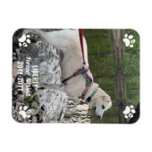 Magnet Flexible Forever Missing Pet Memorial Photo moderne personn (Horizontal)
