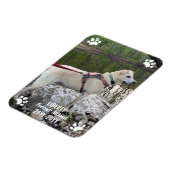 Magnet Flexible Forever Missing Pet Memorial Photo moderne personn (Côté Gauche)
