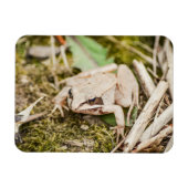 Magnet Flexible Forge de bois Nature Bois Animaux (Horizontal)