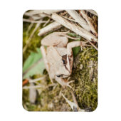 Magnet Flexible Forge de bois Nature Bois Animaux (Vertical)