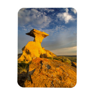 Magnet Flexible Formation des Badlands sculptés dans l'herbe court