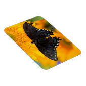 Magnet Flexible Forme noire du papillon de l'Est (Côté Droit)