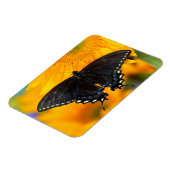 Magnet Flexible Forme noire du papillon de l'Est (Côté Gauche)