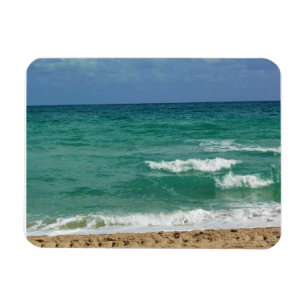 Magnet Flexible Fort Lauderdale, Floride