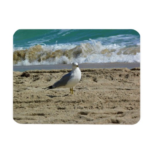 Magnet Flexible Fort Lauderdale, Floride (Horizontal)