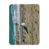 Magnet Flexible Fort Lauderdale, Floride (Vertical)