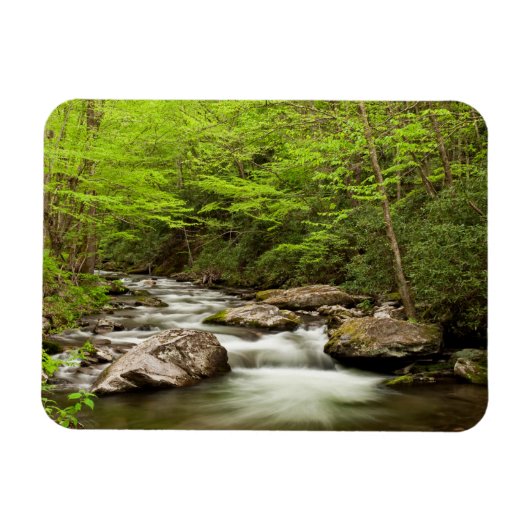 Magnet Flexible Fourche droite traversant la forêt (Horizontal)