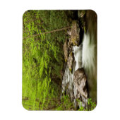 Magnet Flexible Fourche droite traversant la forêt (Vertical)