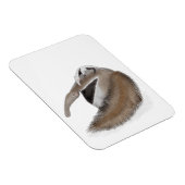 Magnet Flexible Fourmilier mignon et aimant bébé (Côté Droit)