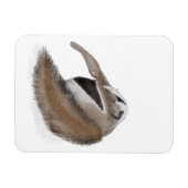 Magnet Flexible Fourmilier mignon et aimant bébé (Horizontal)