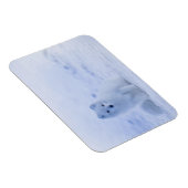 Magnet Flexible Fox arctique de l'Islande (Côté Droit)