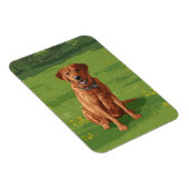Magnet Flexible Fox Red Yellow Labrador Retriever Chien (Côté Droit)