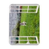 Magnet Flexible Fox Terrier Come Play, Aimant Flexible (Vertical)