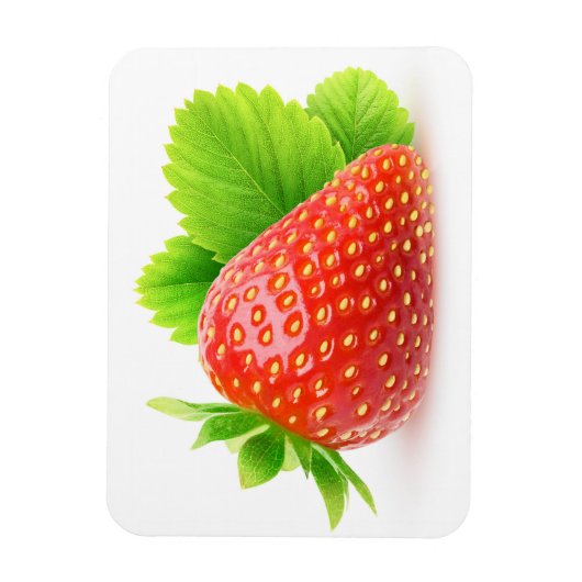 Magnet Flexible Fraise (Vertical)