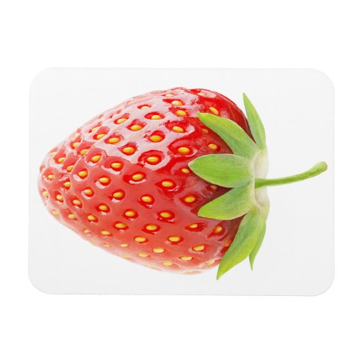 Magnet Flexible Fraise (Horizontal)