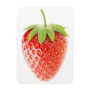 Magnet Flexible Fraise