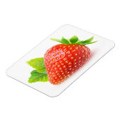 Magnet Flexible Fraise et menthe (Côté Gauche)