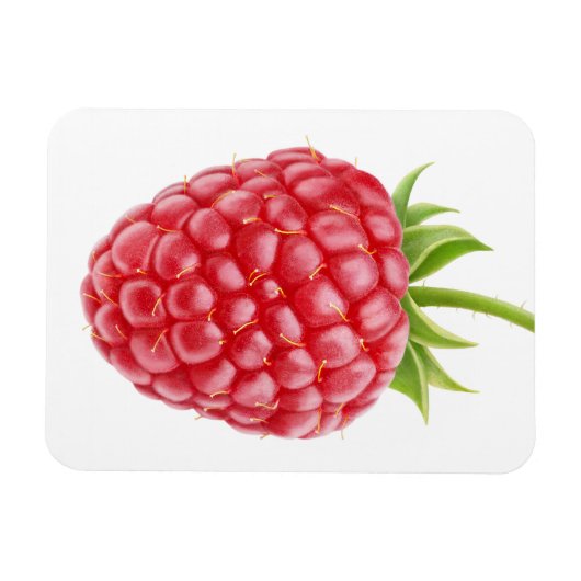 Magnet Flexible Framboise (Horizontal)