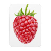 Magnet Flexible Framboise (Vertical)