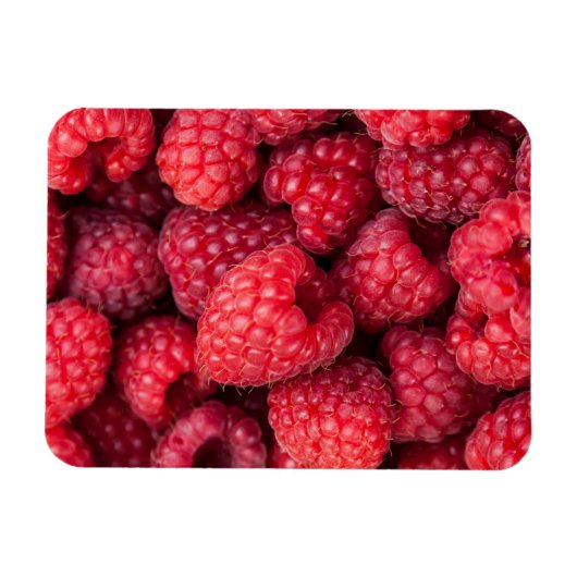 Magnet Flexible Framboises rouges fraîches (Horizontal)