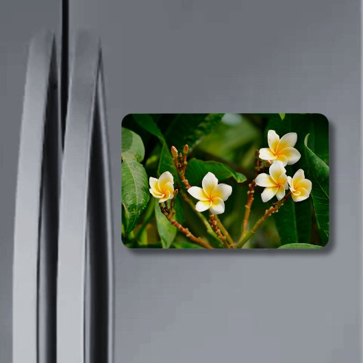 Magnet Flexible Frangipani jaune