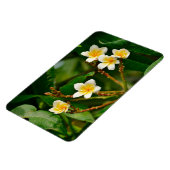 Magnet Flexible Frangipani jaune (Côté Gauche)