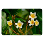 Magnet Flexible Frangipani jaune (Horizontal)