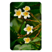 Magnet Flexible Frangipani jaune (Vertical)