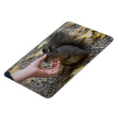 Magnet Flexible frapper un écureuil (Côté Gauche)