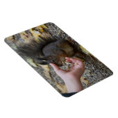 Magnet Flexible frapper un écureuil (Côté Droit)