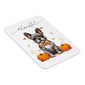 Magnet Flexible French Bulldog Thankful Fall quitte les Citrouille (Côté Droit)