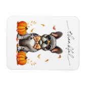 Magnet Flexible French Bulldog Thankful Fall quitte les Citrouille (Horizontal)