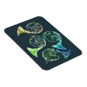 Magnet Flexible French Horns Daisy Classe de groupe (Côté Droit)